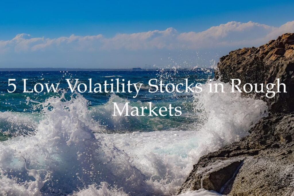 5 Low Volatility Stocks in Rough Markets Dividend Power