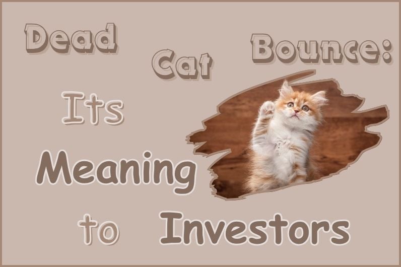 Dead Cat Bounce: Its Meaning to Investors