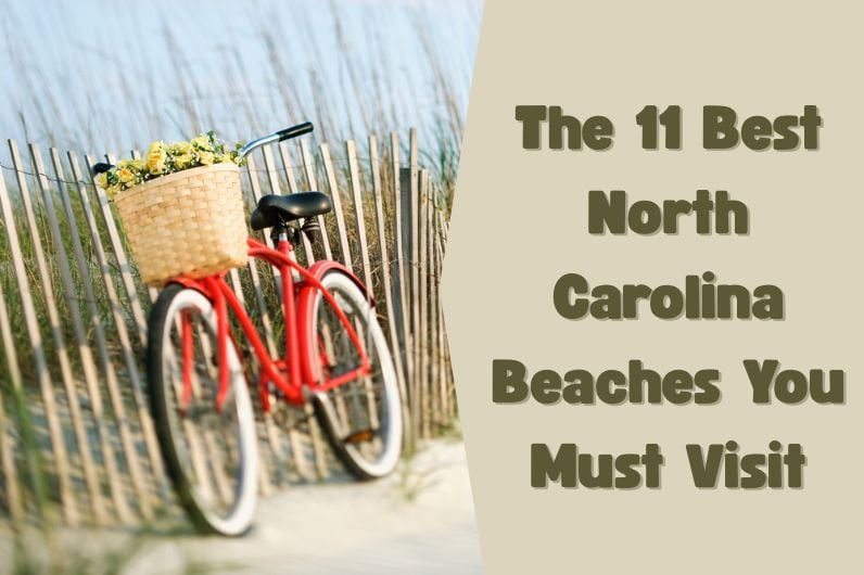 The 11 Best North Carolina Beaches You Must Visit