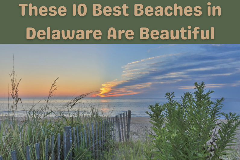 These 10 Best Beaches in Delaware Are Beautiful