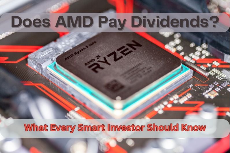 Does AMD Pay Dividends? What Every Smart Investor Should Know